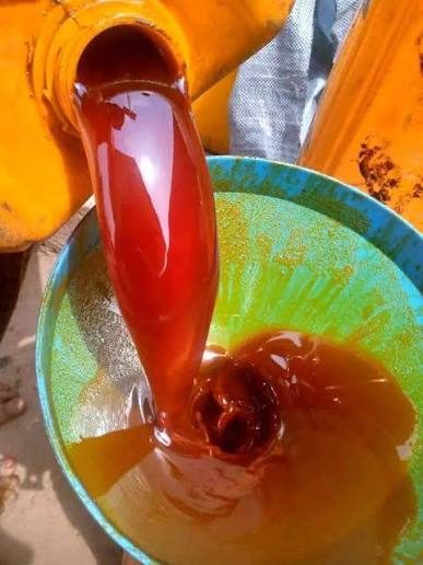 Fresh Palm Oil (25 Litres)